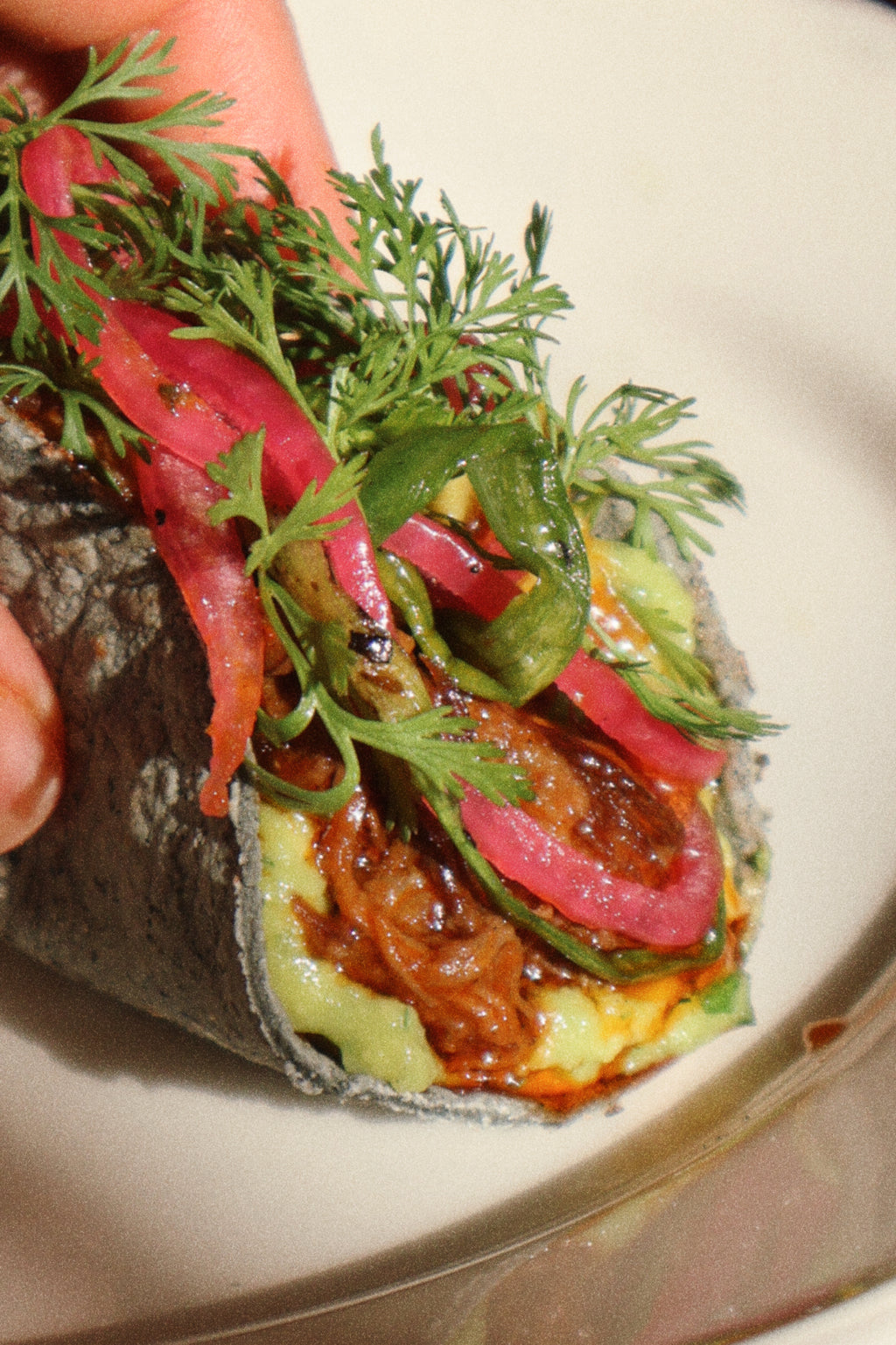 Blue Masa Tortillas