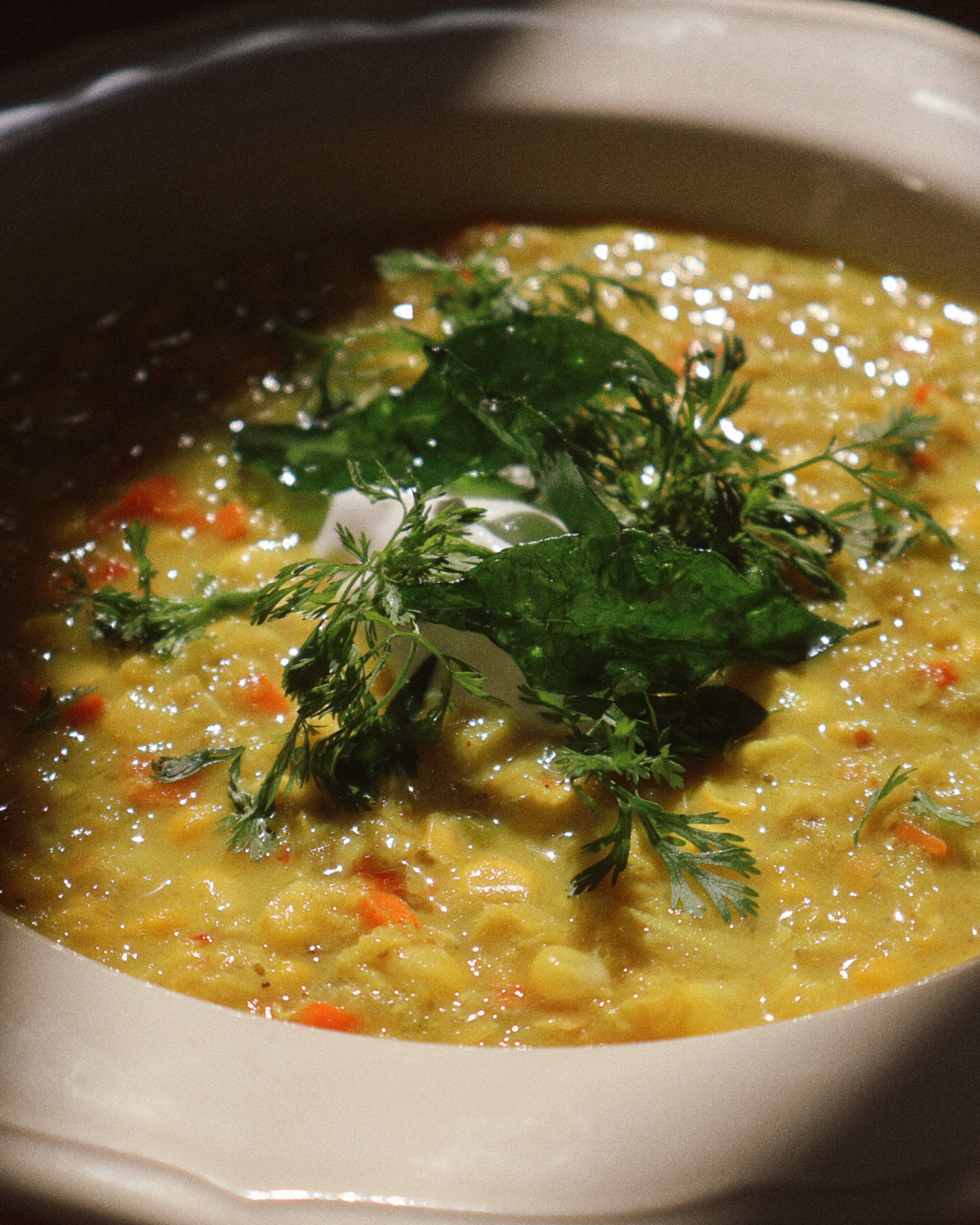 Corn Dal