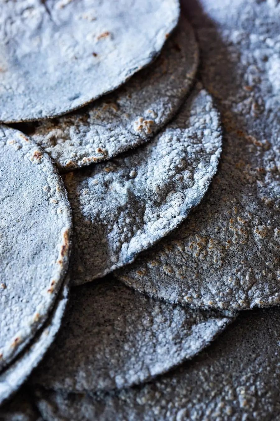 Blue Masa Tortillas