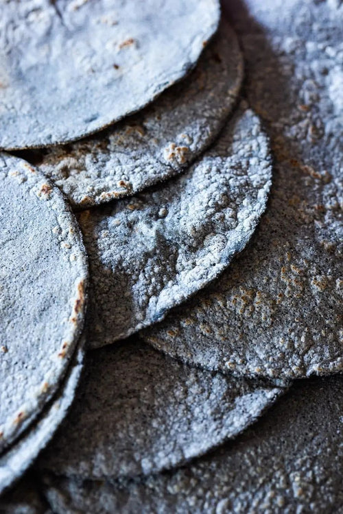 Blue Masa Tortillas