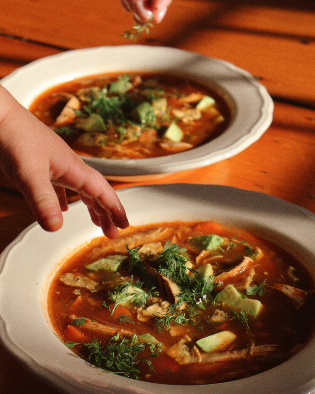 Chicken Tortilla Soup