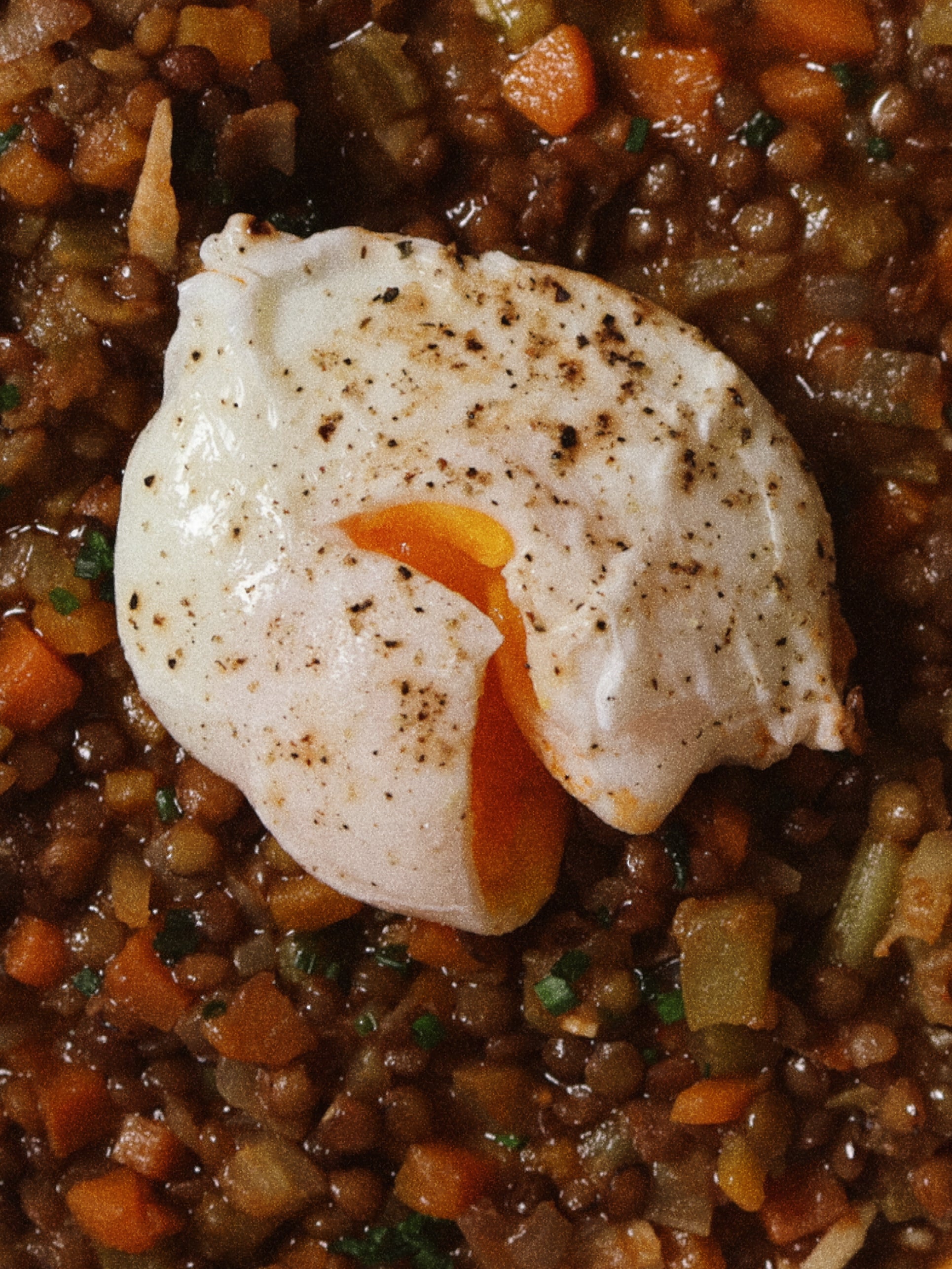 Umbrian Lentil Stew