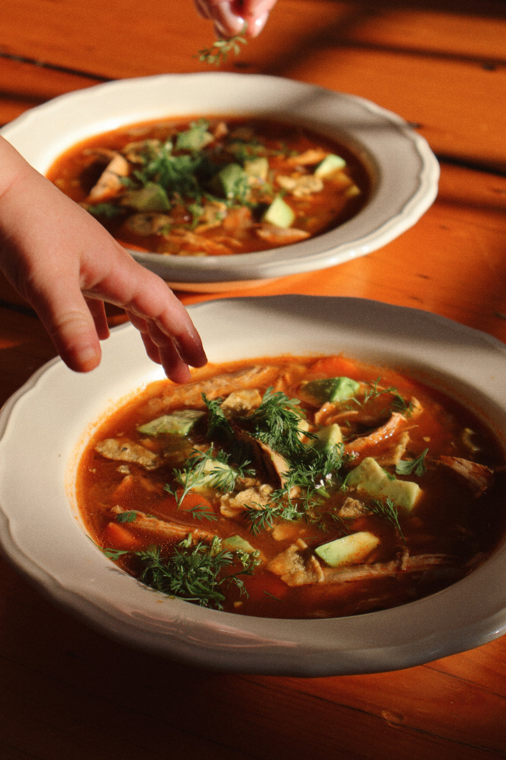 Chicken Tortilla Soup