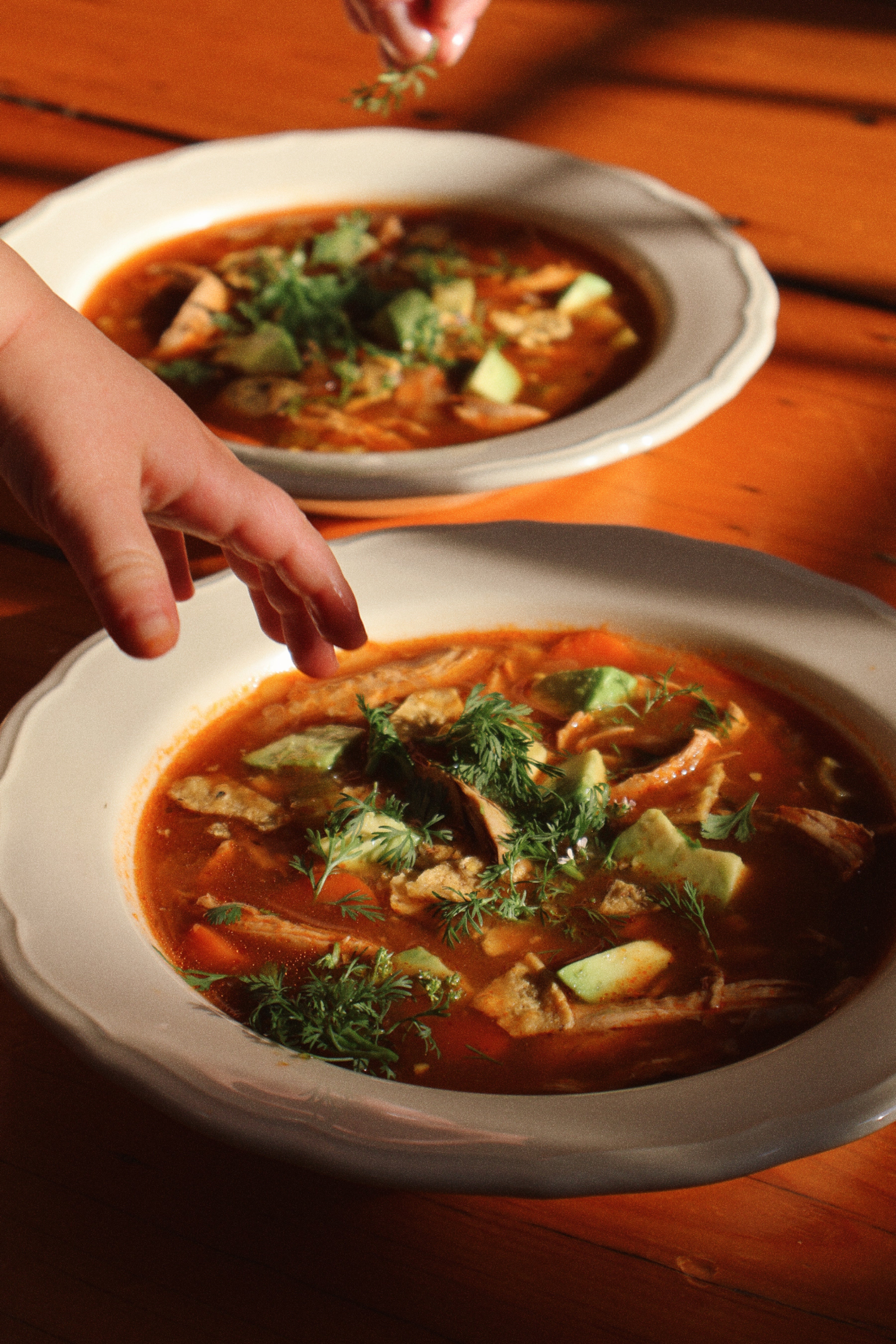 Chicken Tortilla Soup